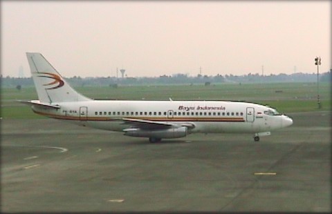 Bayu Indonesia Air (B737)：私の好きなインドネシア